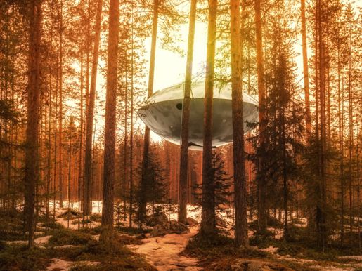 Treehotel Harads A7 April 2016-140-HDR copy1 Credit Ragnar Sigurdsson (1).jpg