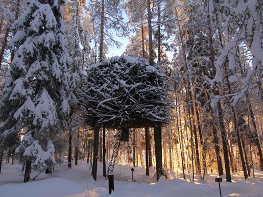 Treehotel - The Birds Nest.JPG
