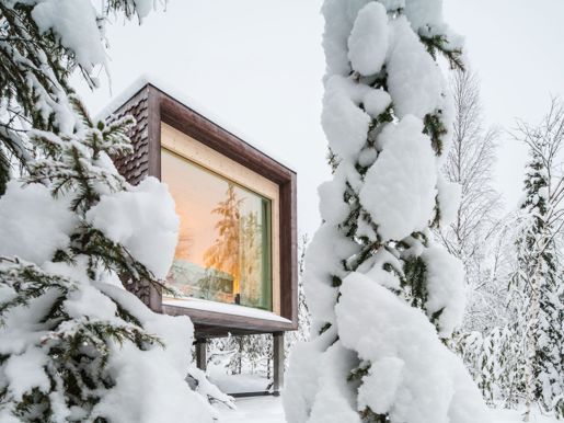 3 Arctic TreeHouse Hotel_Suite_ Winter view.jpg