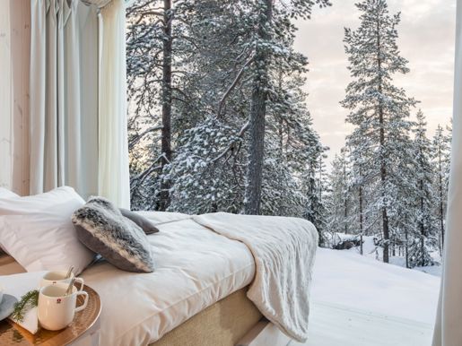 5 Arctic TreeHouse Hotel_Suite with double bed.jpg