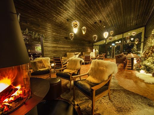 2 Arctic TreeHouse Hotel_Lounge_Rakas Restaurant & Bar.jpg