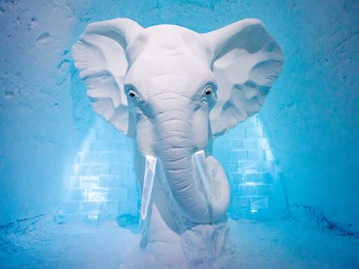 Large Art Suite Elephant In The Room Icehotel Swedenv2