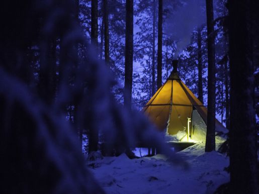 Your Room In The Wild At Aurora Safari Campv2
