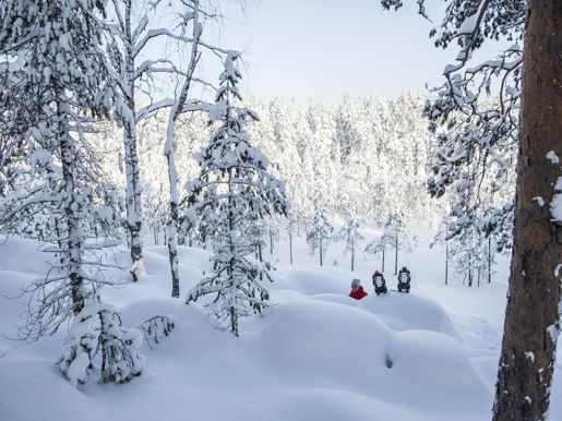 Snowshoeing On The Mountain