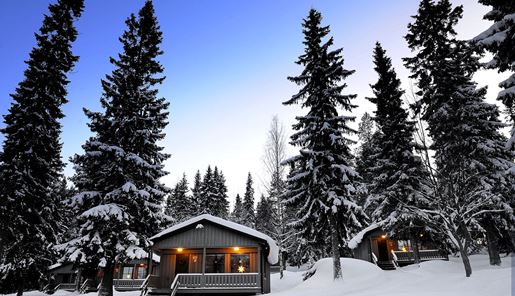Winter at Brandon Lodge, Swedish Lapland