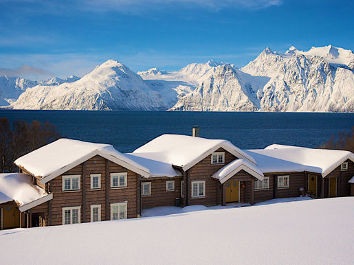 Lodge Winter