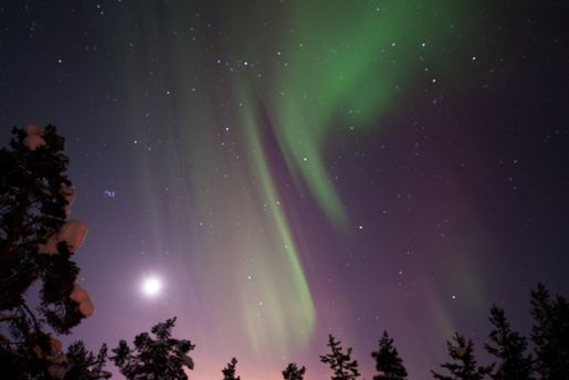 The Northern Lights over the forest in Sweden in winter