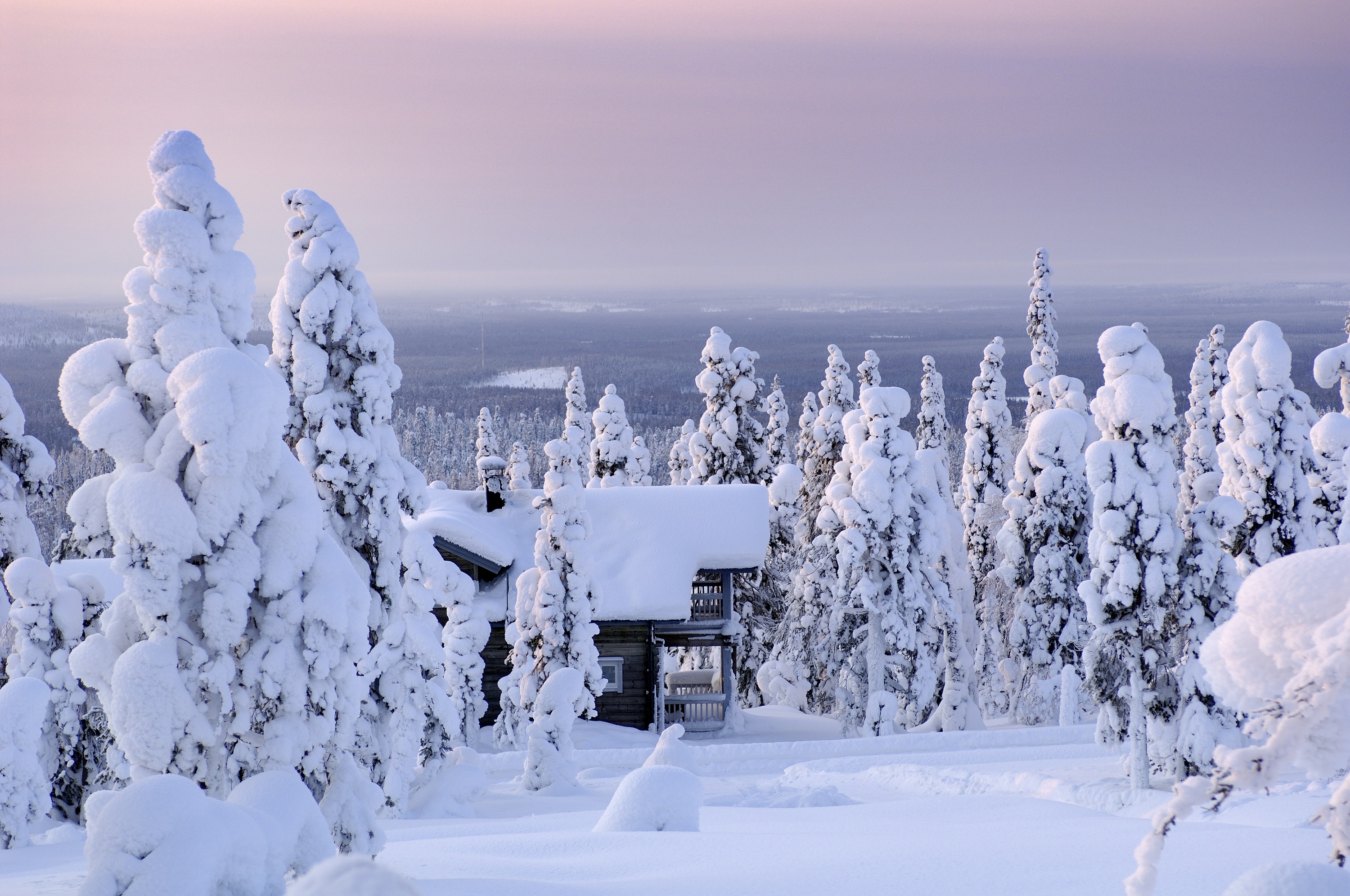 A snow covered hut nestled between trees in the Finnish countryside in winter