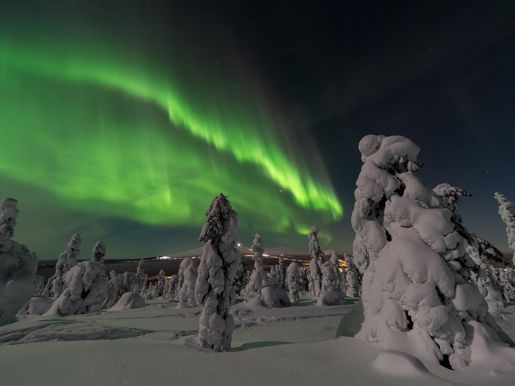 Aurora