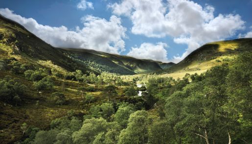 Alladale Low Res