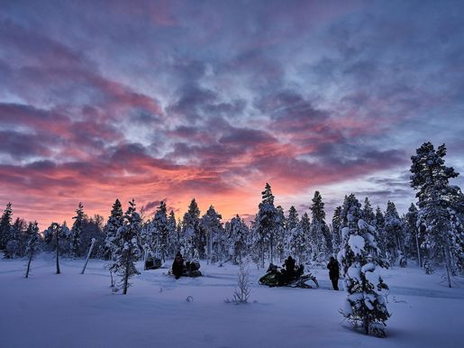 Sn+Âtkl+Ñdda Tr+Ñd O Rosa Himmel Skotrar