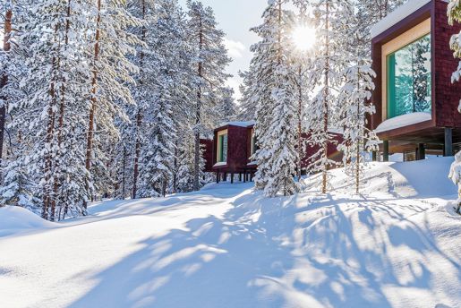 Winter at Arctic treehouse hotel