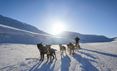 Dogsledding in Bolterdarlen on Svalbard in sunny winter