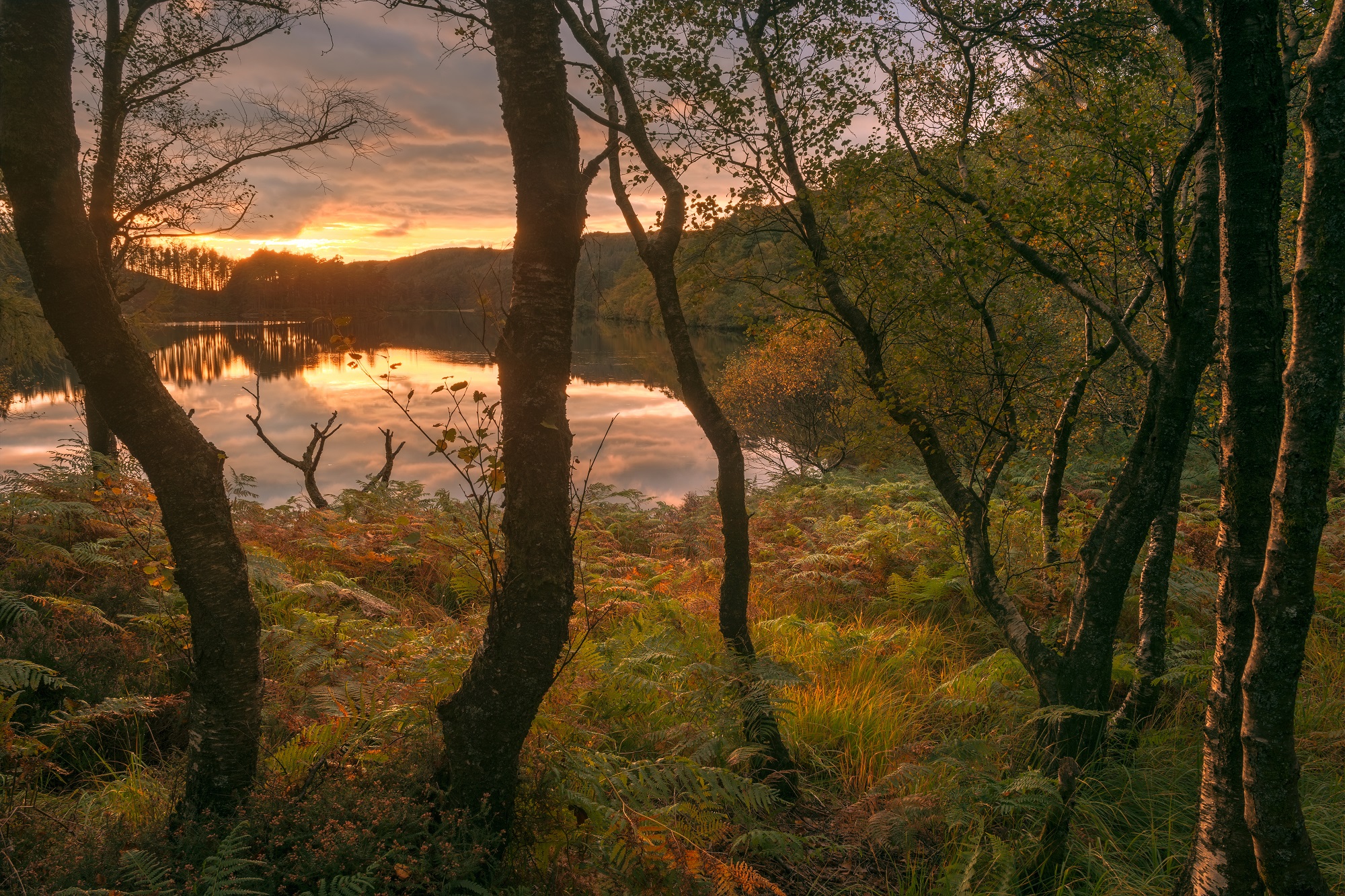 Sunset over Loch Trool Glen Trool in Galloway in Scotland