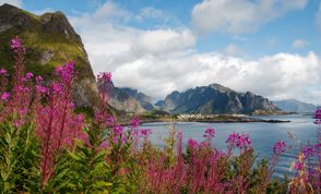 Foap Julieweiss10 Reine 3307302 Photo Foap