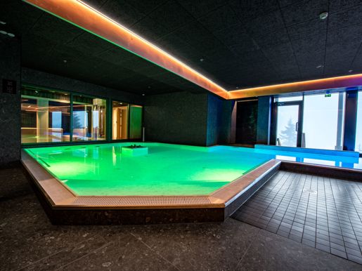 Arctic Spa Pool Area
