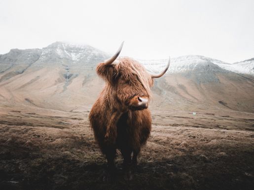 Faroe Islands Benjamin Hardman Iceland Untitled DSC5347