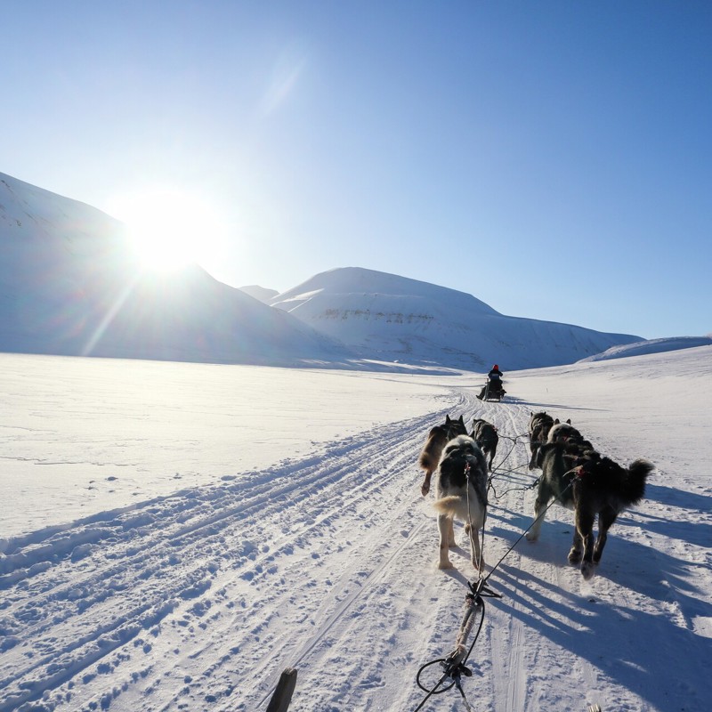 DOGSLEDDING IN BOLTERDALEN GREEN DOG SVALBARD PHOTO EVELINE LUNDE 0789 21181170 Photo Eveline Lunde 1920