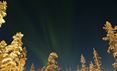 Northern lights over snowy trees at Aurora Queen in Finnish Lapland