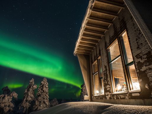 Octola Aurora 8