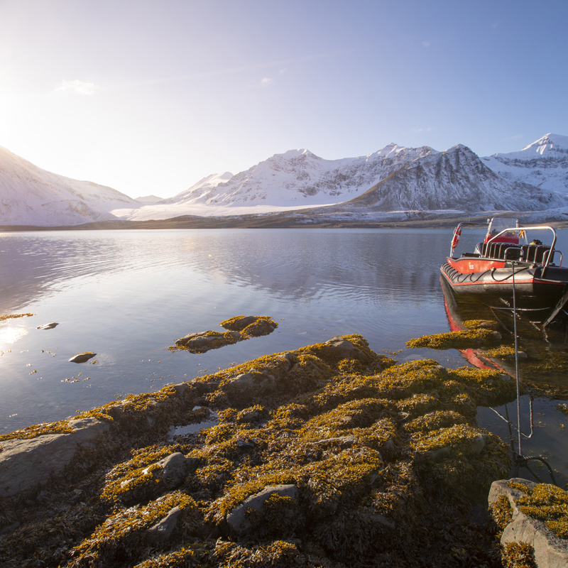 209 Silverless 097A2346 2Svalbard 1200Px