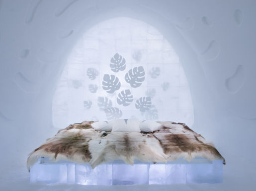 Medium Art Suite Monstera Icehotel 28