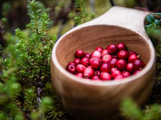 Ted Logart Lingonberries 5724