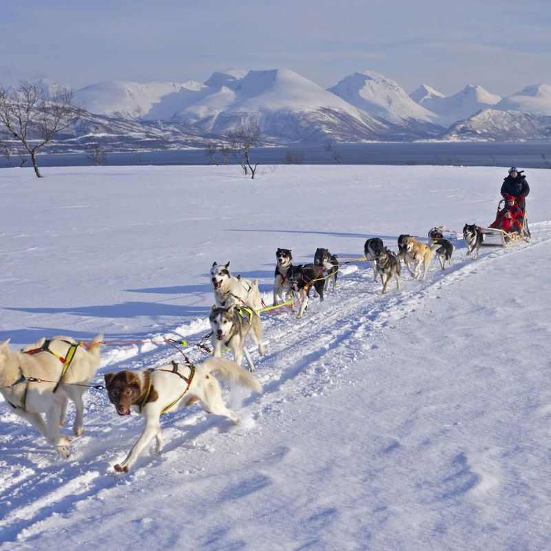 001454 Baard Loeken Www Nordnorge Com