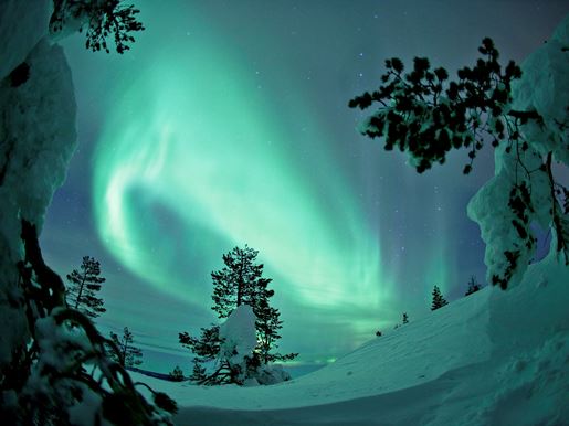 The Northern Lights swirling in the sky above the snow covered landscape below in winter in Lapland